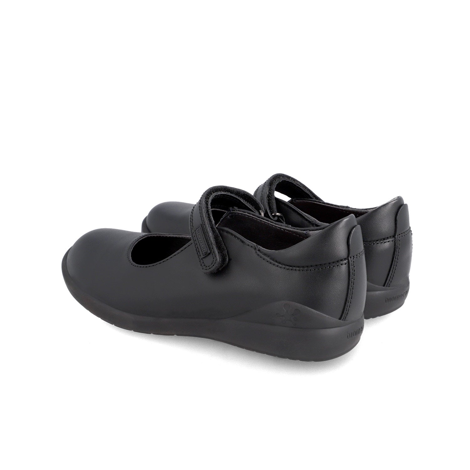 Biomecanics Ballerina