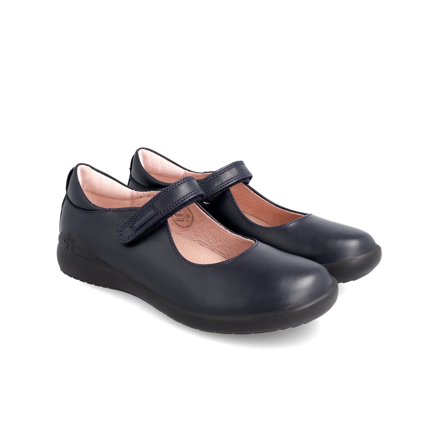 Biomecanics Ballerina