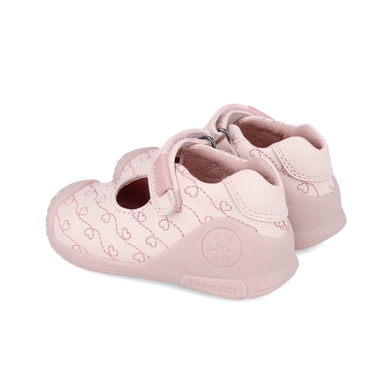 Biomecanics Ballerina