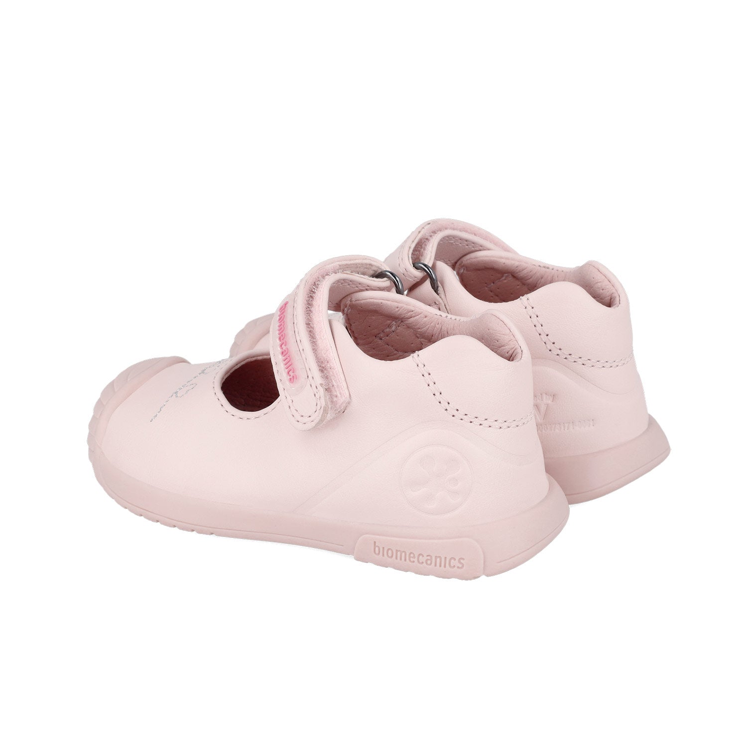 Biomecanics Ballerina
